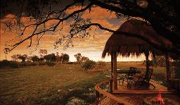 Mombo Camp, Botswana